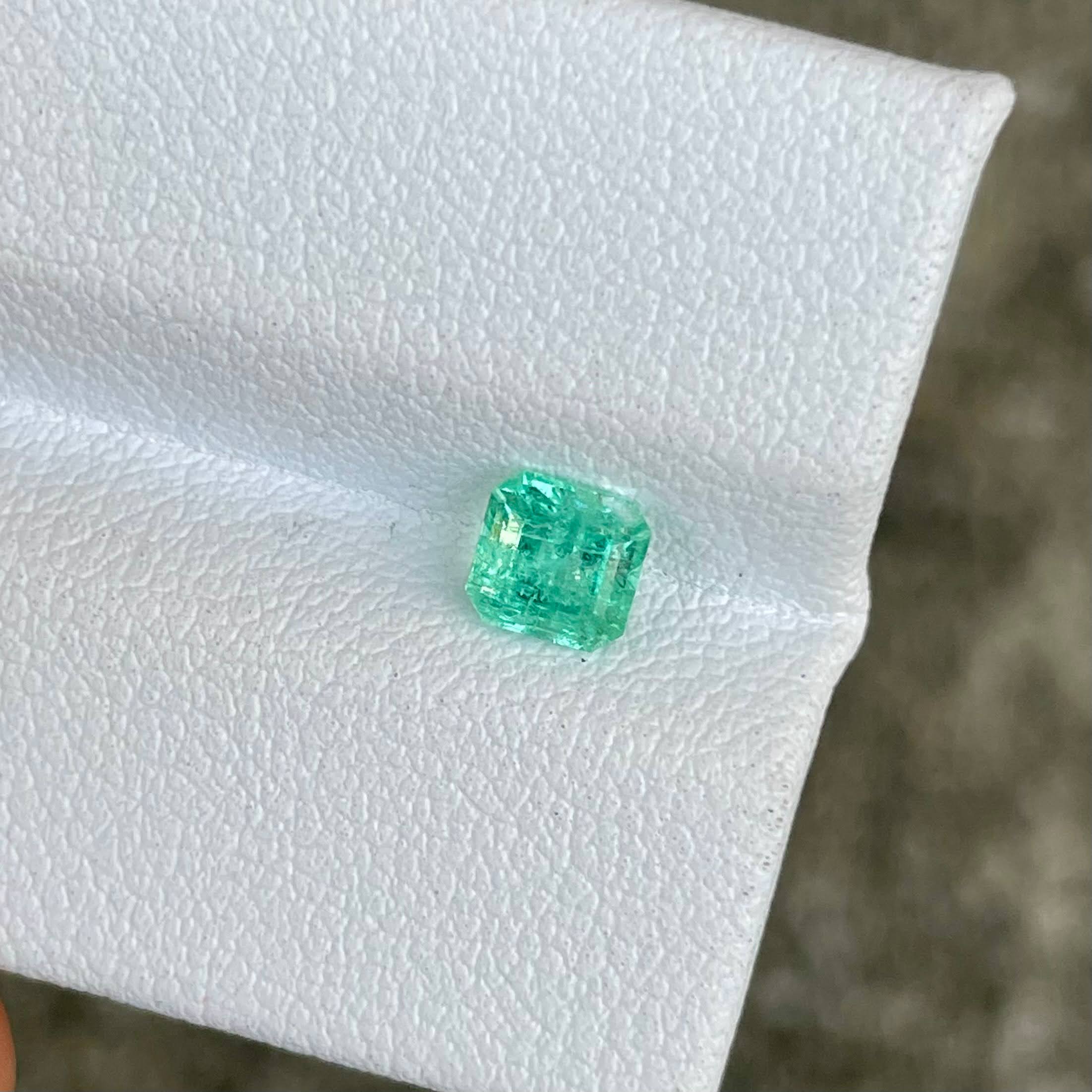 0.59 Carats Emerald Faceted Gemstone