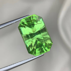 11.15Ct Ludwigite Peridot