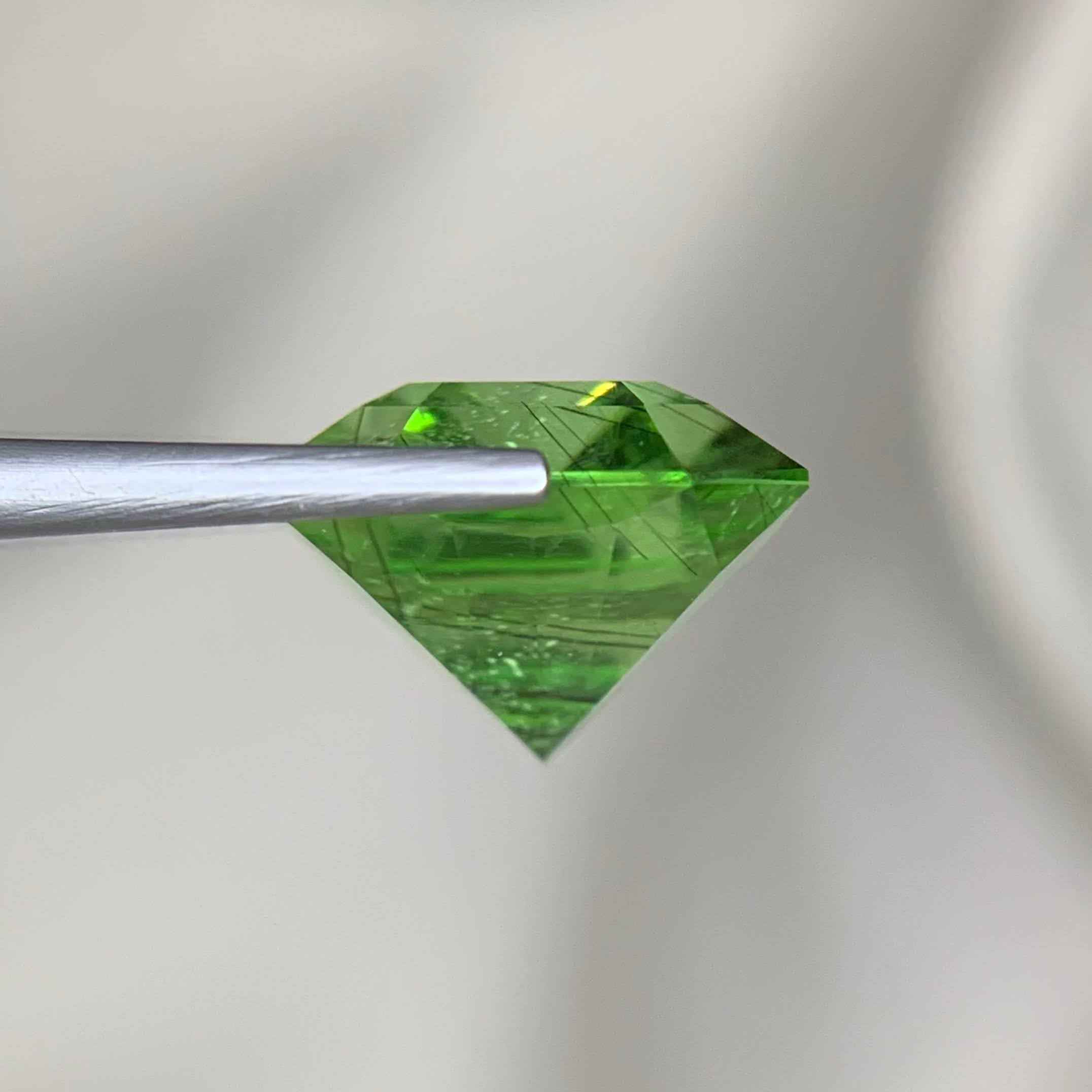 11.15Ct Ludwigite Peridot