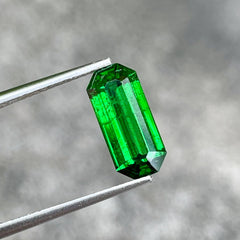 2.96 Carats Green Tsavorite Garnet Gem