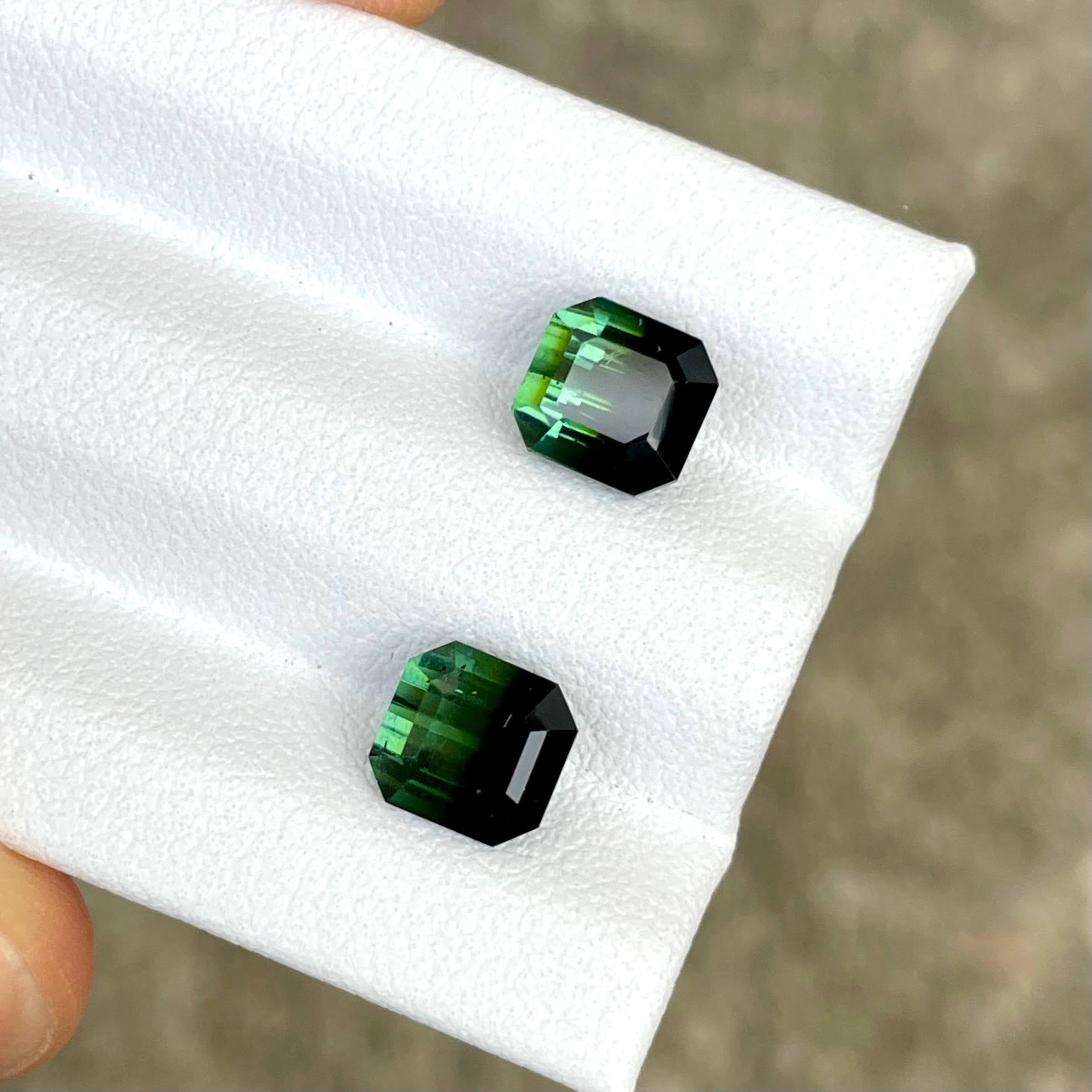 3.72 Carats Bi Color Tourmaline Pair