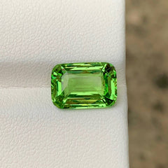 5.23Ct Leaf Green Tsavorite Garnet