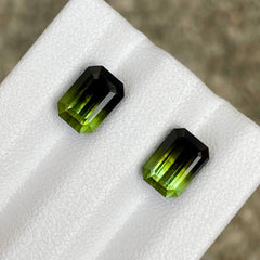 4.47 Carats Bi Color Tourmaline Pair