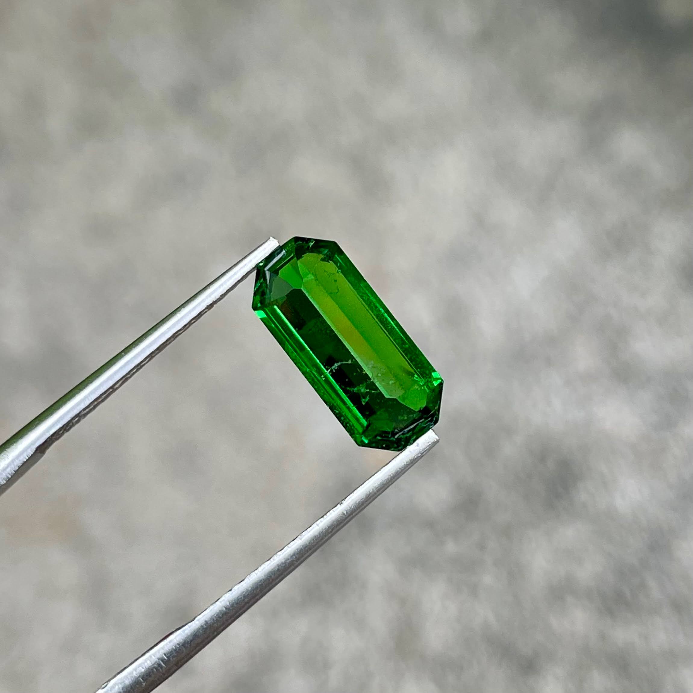 2.96 Carats Green Tsavorite Garnet Gem