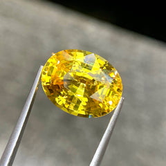 11.31 Ct Intense Yellow Sapphire Oval