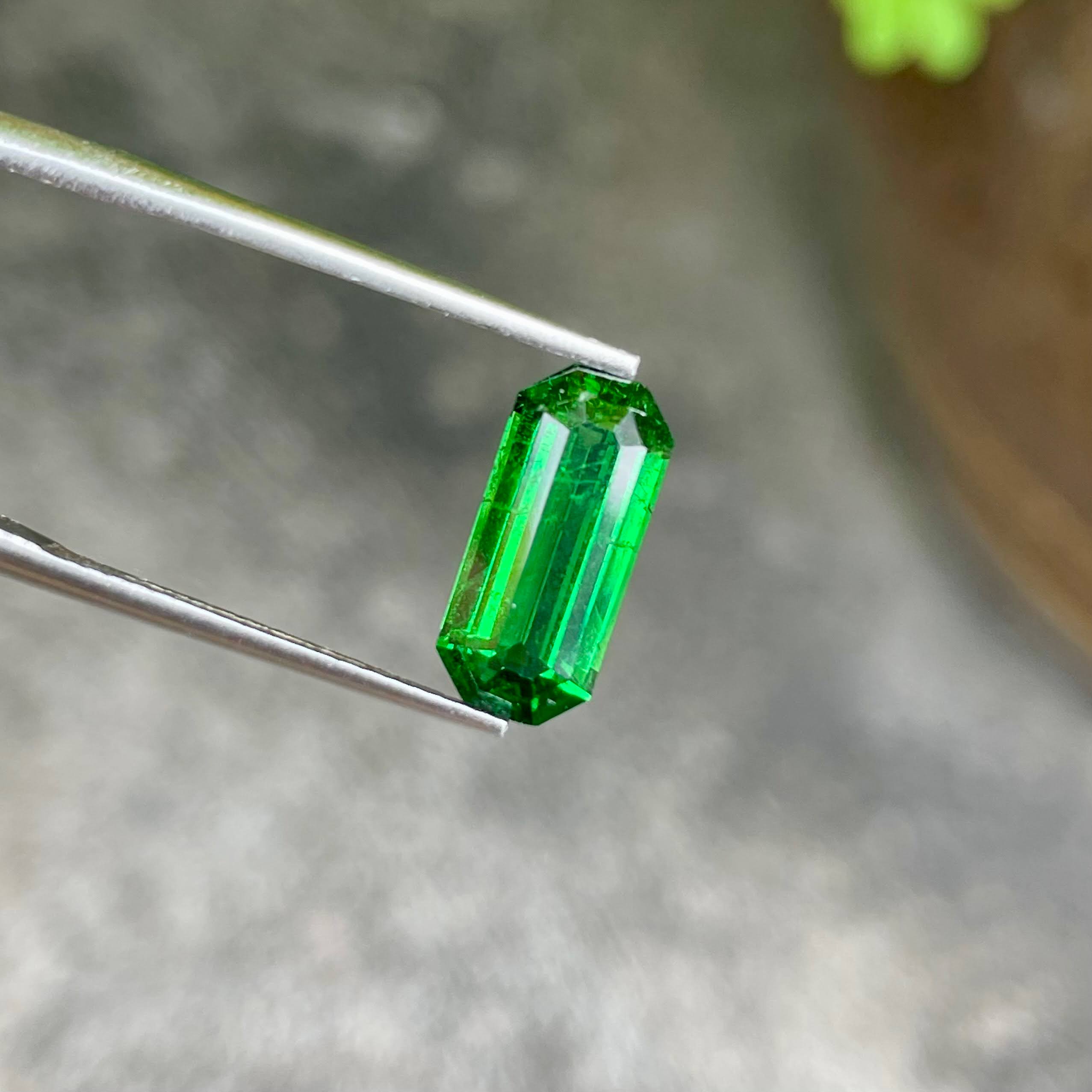 2.96 Carats Green Tsavorite Garnet Gem