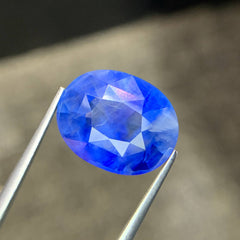 13.17ct Cornflower Blue Sapphire Oval