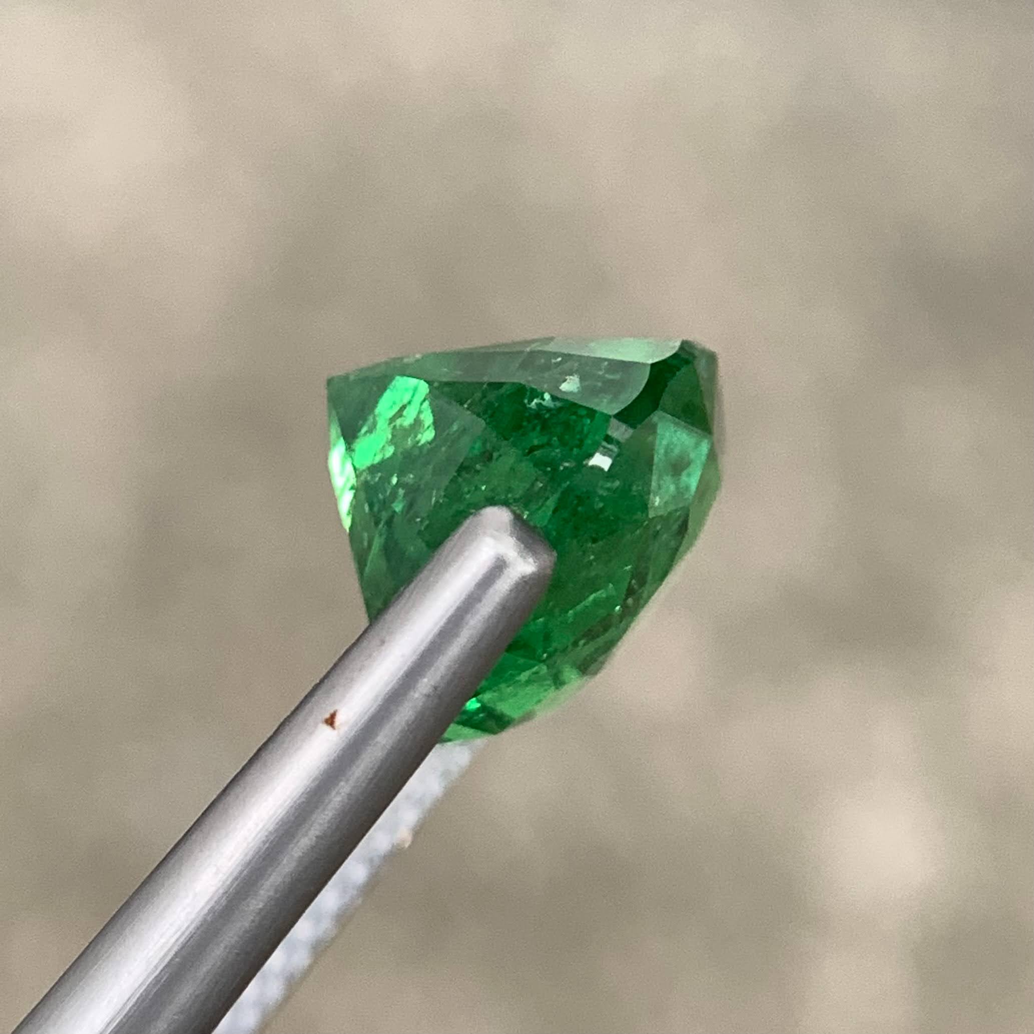 7-50ct-intense-vivid-green-tsavorite-garnet-tanzania-cushion