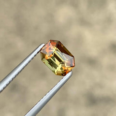 1.28Ct Bicolor Rare Andalusite