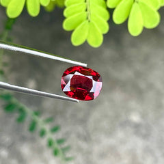 3.03 Carats Red Burmese Cushion Spinel