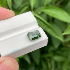 3.10 Ct Cushion Unique Greenish Tourmaline
