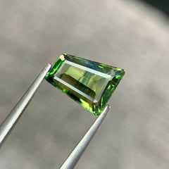 1.80 Ct Parti Sapphire Irregular Shape