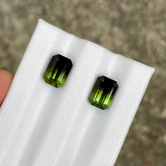 4.47 Carats Bi Color Tourmaline Pair