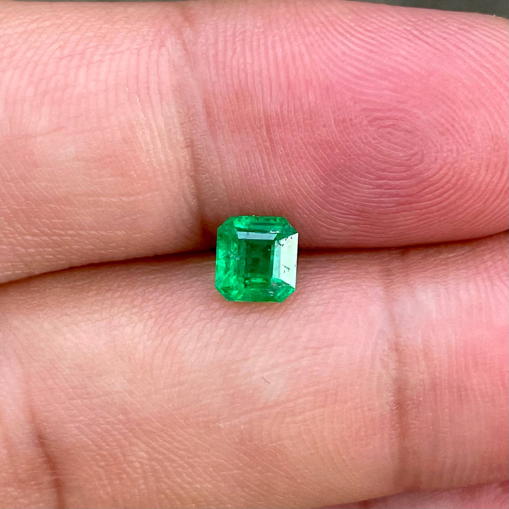 0.78 Carats Pakistan Emerald Gemstone