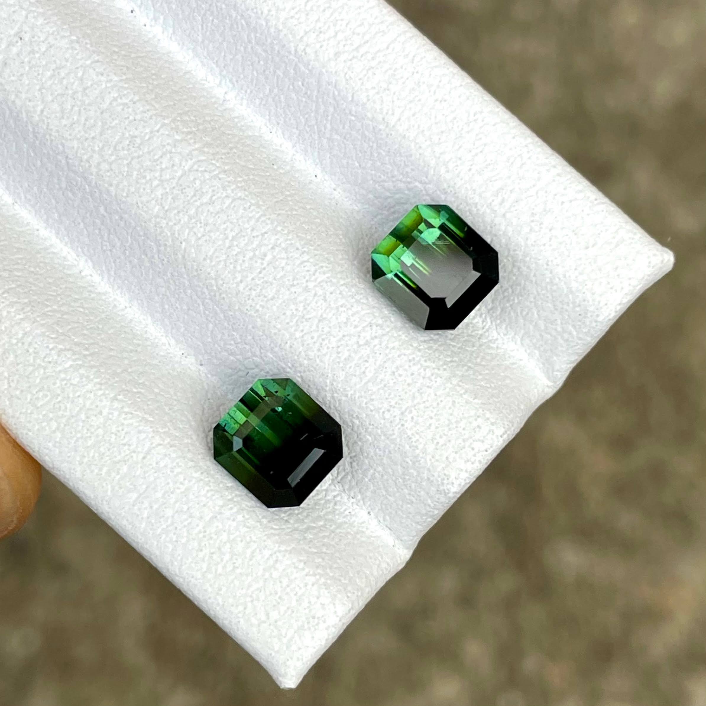 3.72 Carats Bi Color Tourmaline Pair