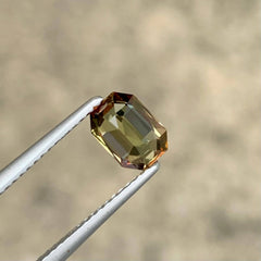 1.28Ct Bicolor Rare Andalusite