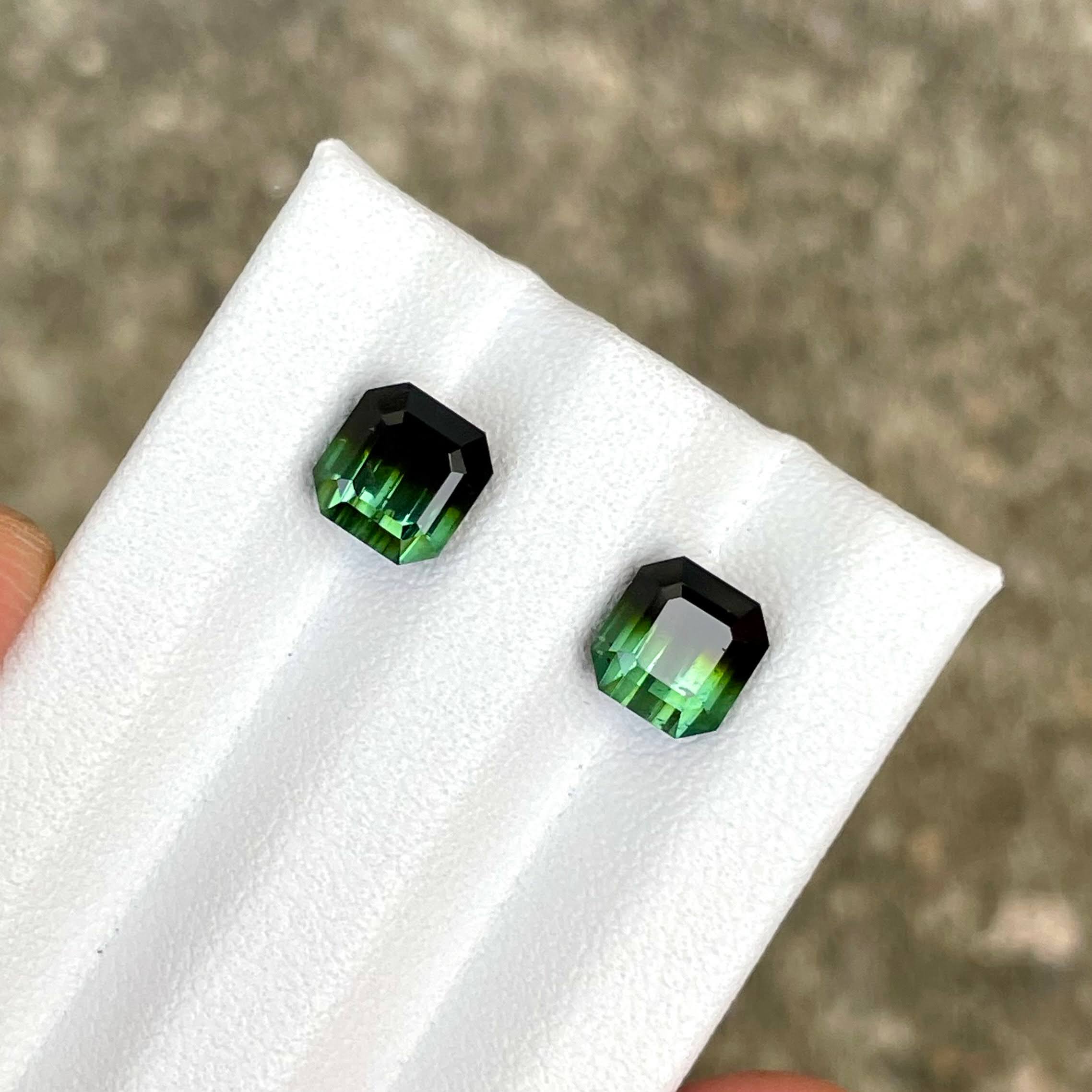 3.72 Carats Bi Color Tourmaline Pair