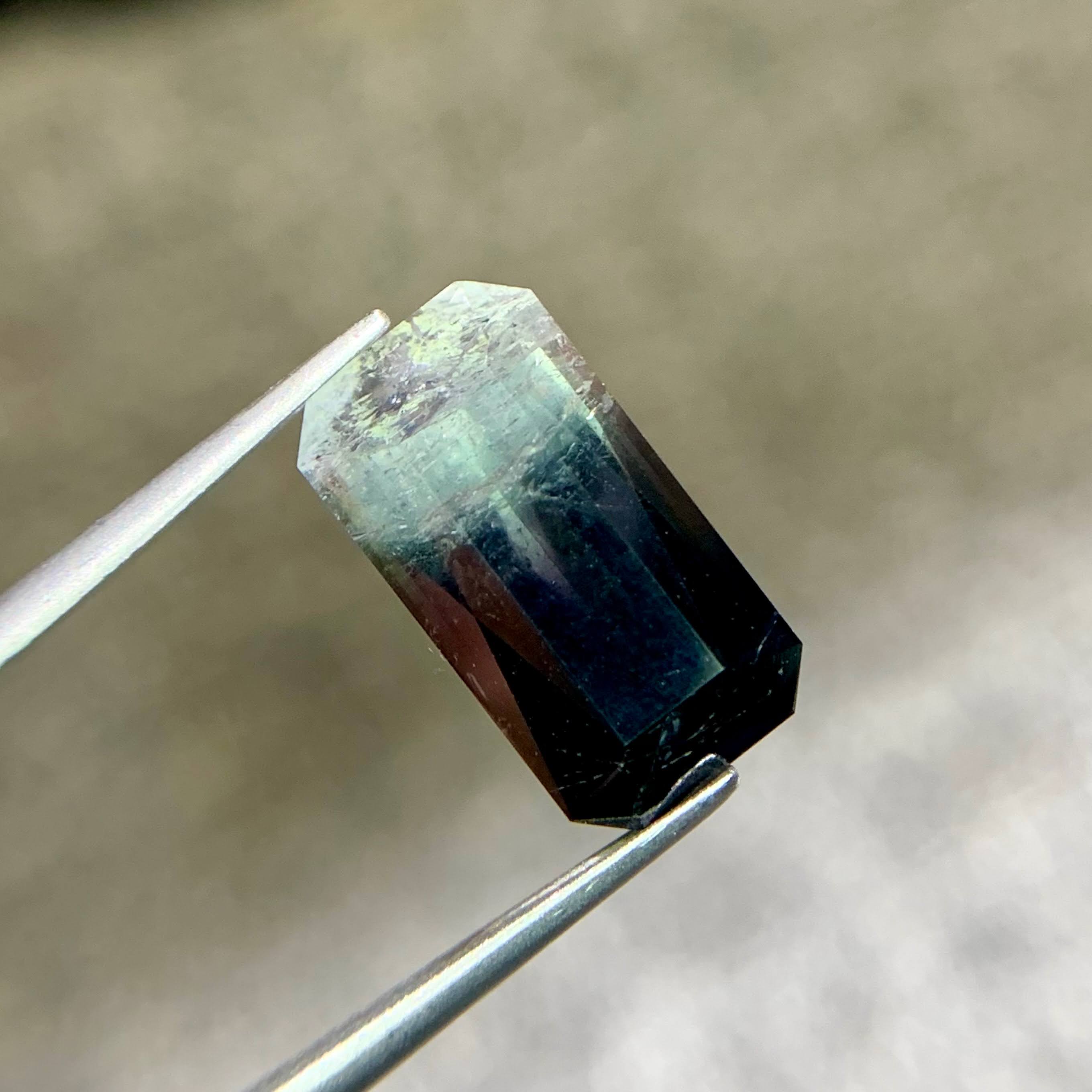 7.06 Ct Natural Bi-Color Tourmaline Emerald Cut