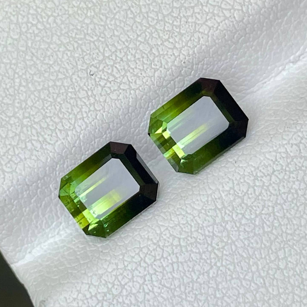 3.94 Carats Bi Color Tourmaline Pair