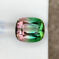 21.81ct Natural Bi-Color Tourmaline Cushion