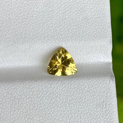 1.60 Carat Yellow Chrysoberyl Gemstone