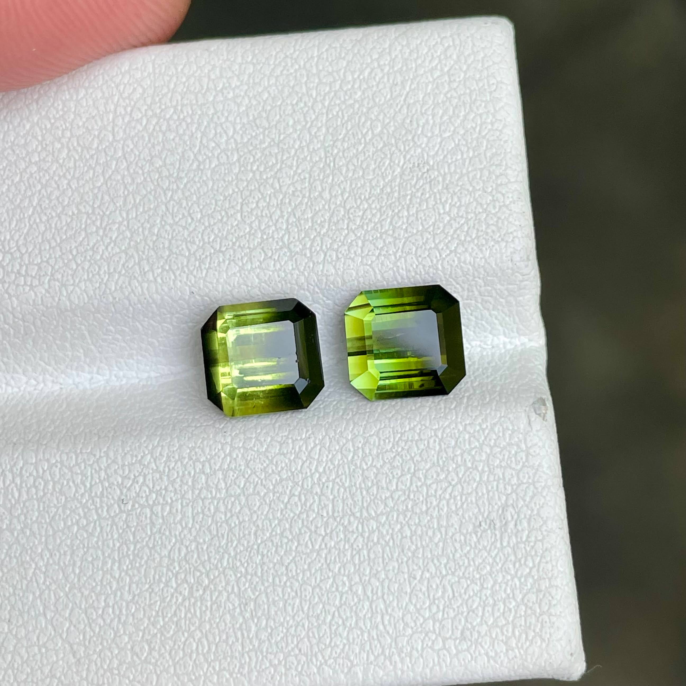 4.55 Carats Bi Color Tourmaline Pair