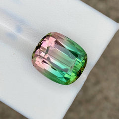 21.81ct Natural Bi-Color Tourmaline Cushion
