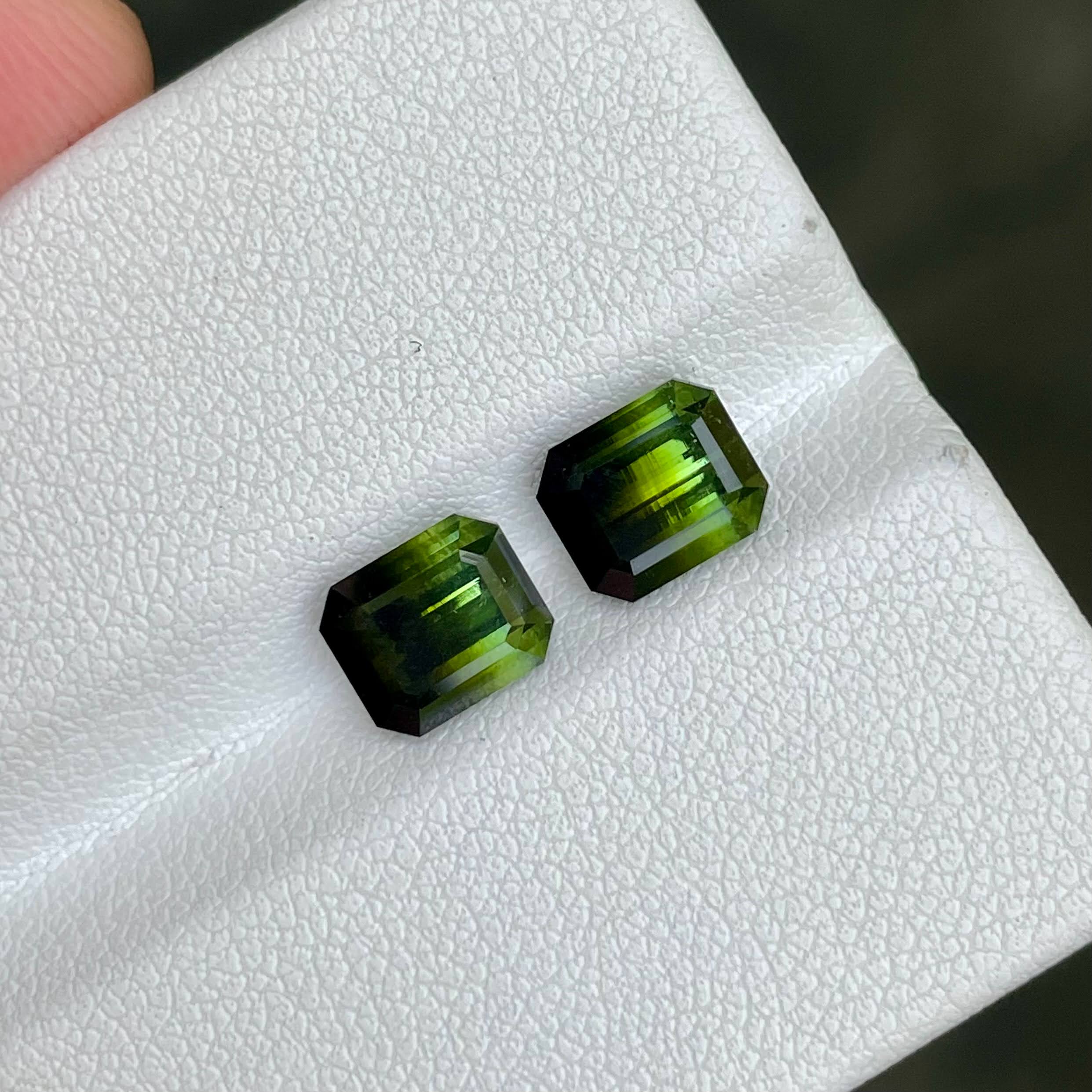 3.94 Carats Bi Color Tourmaline Pair