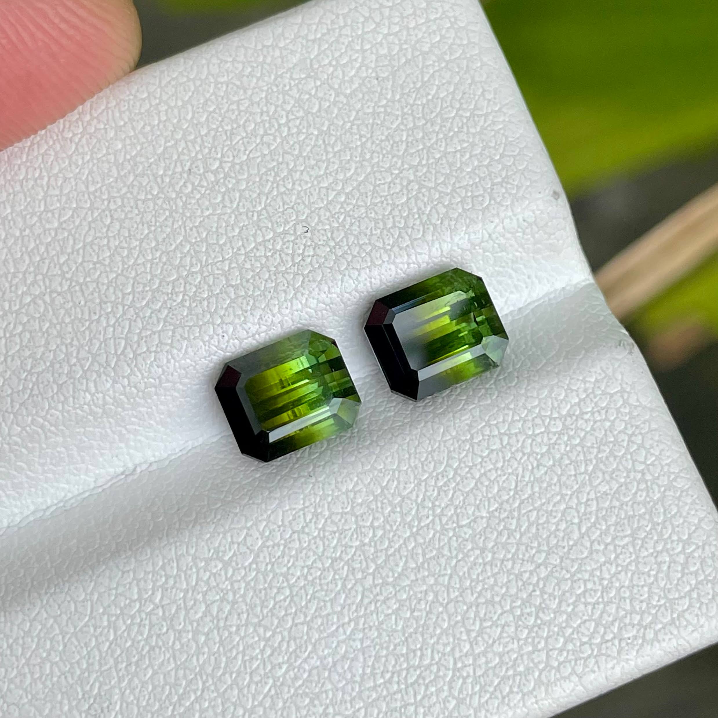 3.94 Carats Bi Color Tourmaline Pair