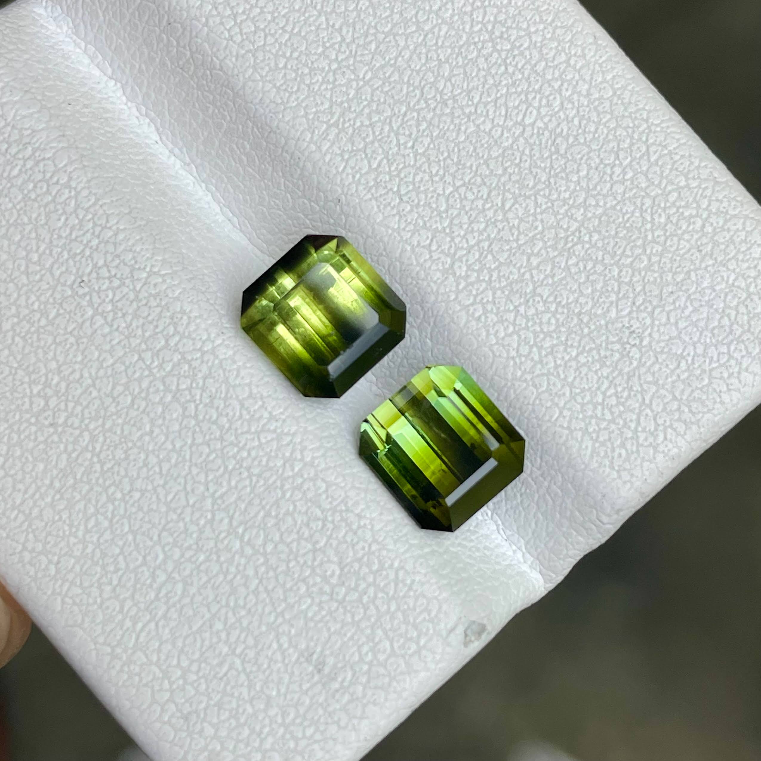 4.55 Carats Bi Color Tourmaline Pair