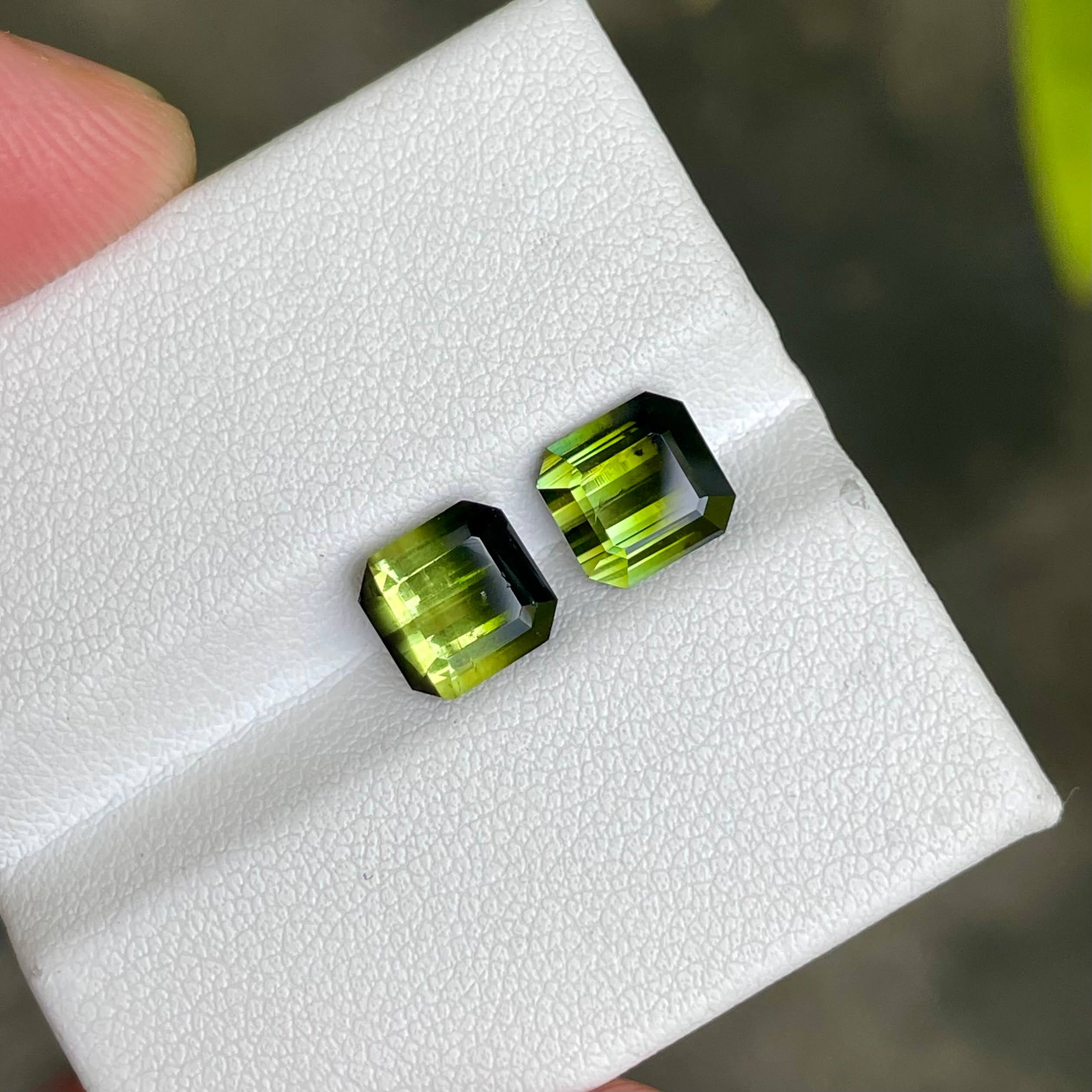 4.55 Carats Bi Color Tourmaline Pair