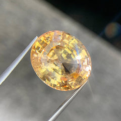 15.67 Ct Certified Padparadscha Sapphire Oval