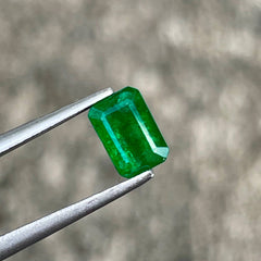 0.68ct Vivid Green Zambian Emerald Cut Emerald