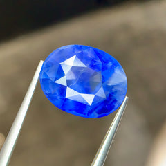 13.17ct Cornflower Blue Sapphire Oval