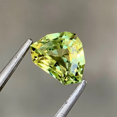 1.08 Ct Natural Parti Sapphire Trilliant Cut