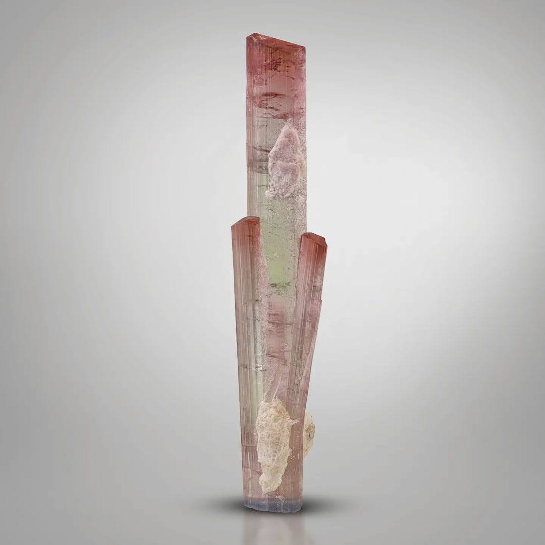 Tourmaline with Albite and Microlite