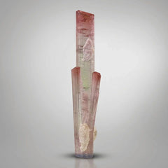 Tourmaline with Albite and Microlite