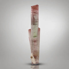 Tourmaline with Albite and Microlite