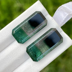 Rare Color Tourmaline Pair Stone