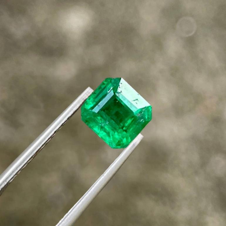 0.78 Carats Pakistan Emerald Gemstone