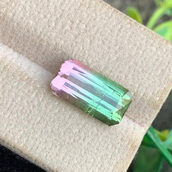 5.40ct Bi-Color Tourmaline Scissor Cut