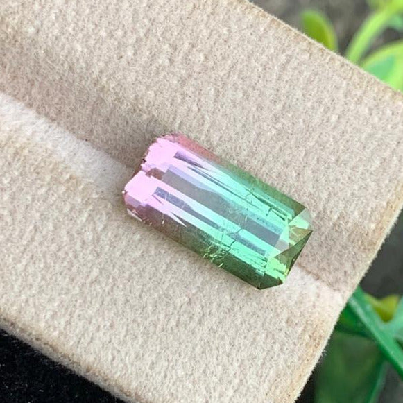 5.40ct Bi-Color Tourmaline Scissor Cut