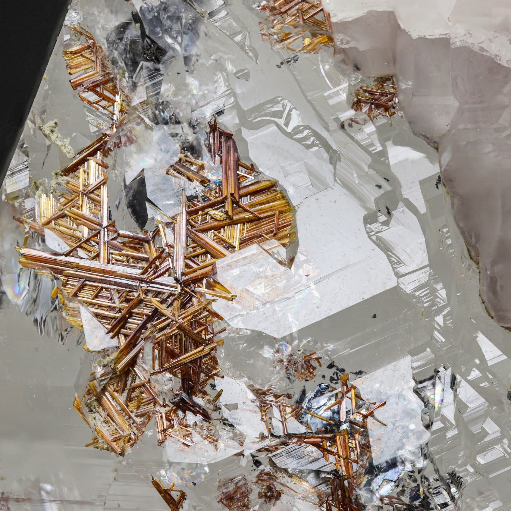 Sagenite Rutile crystals on Quartz with Apatite and Siderite from Pakistan