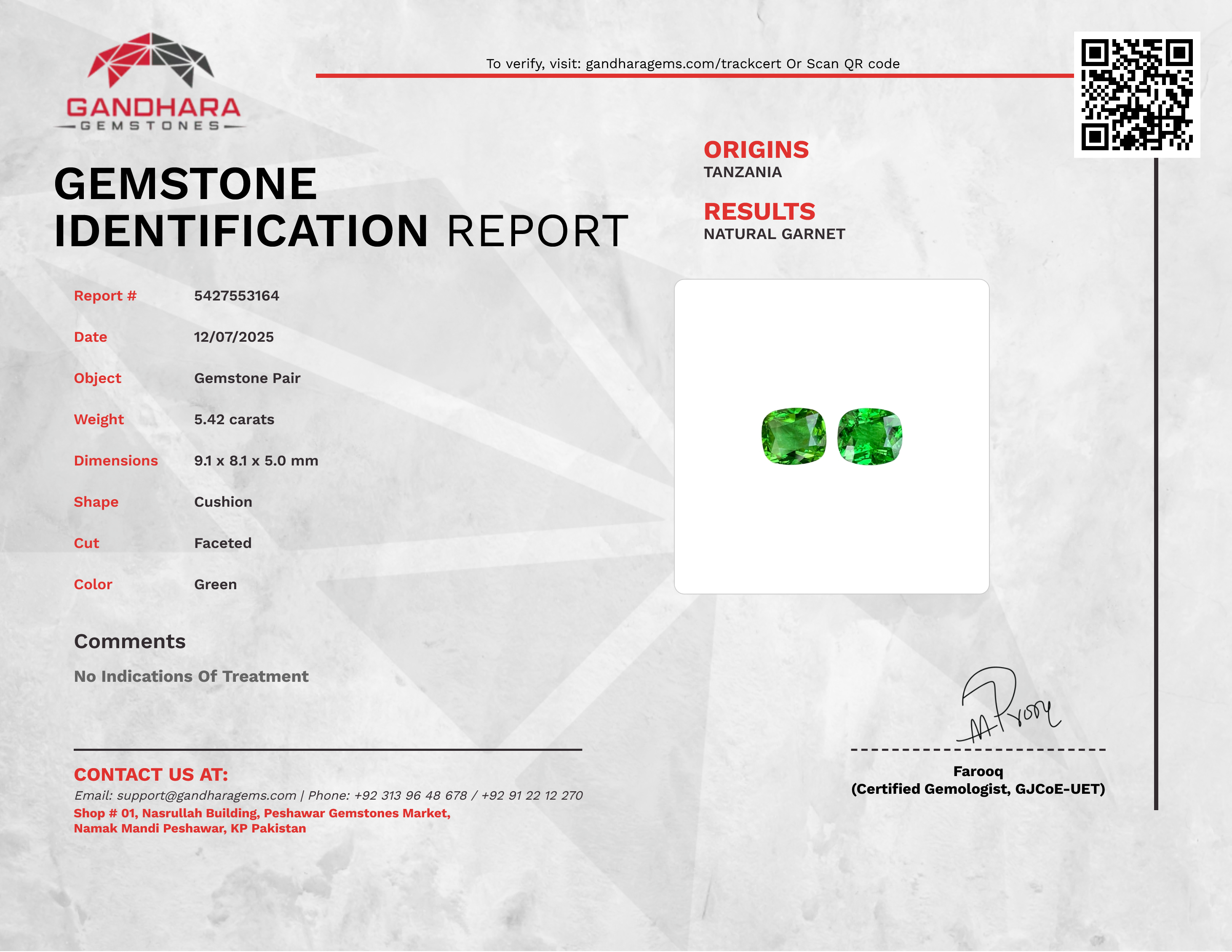 5.42 Carats Tsavorite Garnet Pair Gems
