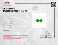5.42 Carats Tsavorite Garnet Pair Gems