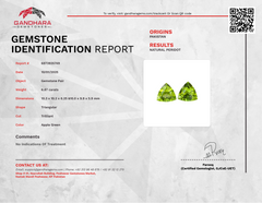 6.87 Carats Green Peridot Pair Gems