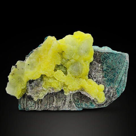 Yellow Brucite With Chrysocolla Matrix