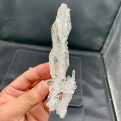 Clear Quartz Crystals Specimen