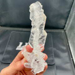 Clear Quartz Crystals Specimen