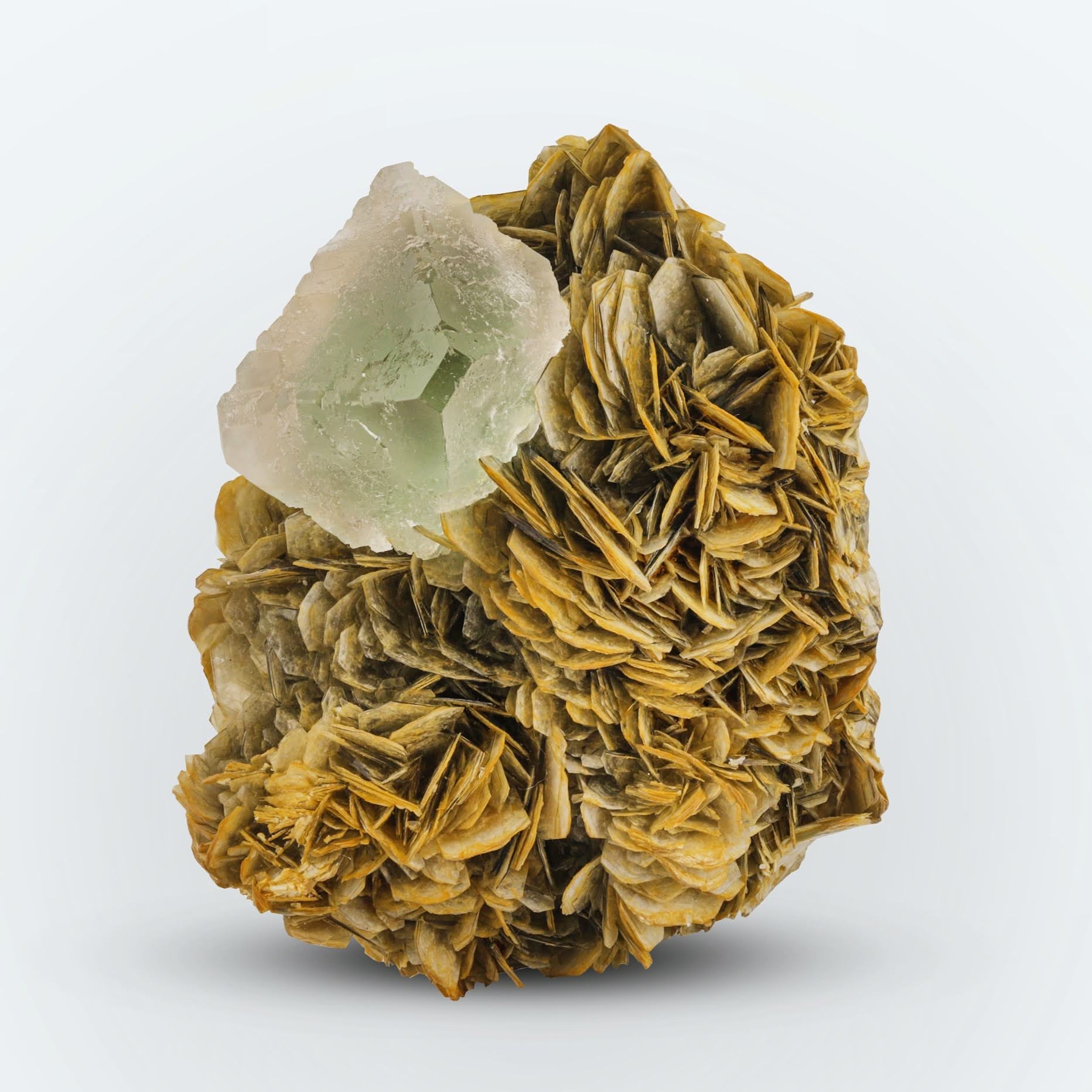 Green Fluorite Crystal on Muscovite